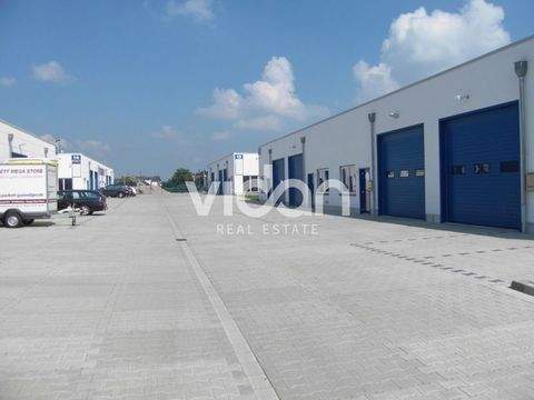 Frechen Halle, Frechen Hallenfläche