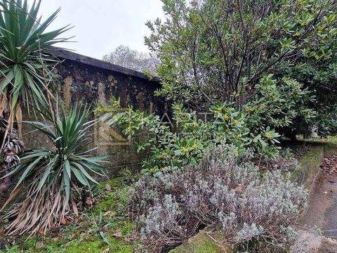 Trsat - Krimeja Wohnungen, Trsat - Krimeja Wohnung kaufen