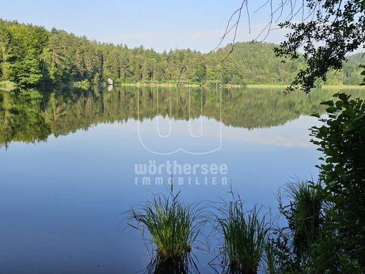 Natur-Idylle pur am Saissersee in unmittelbarer Nähe