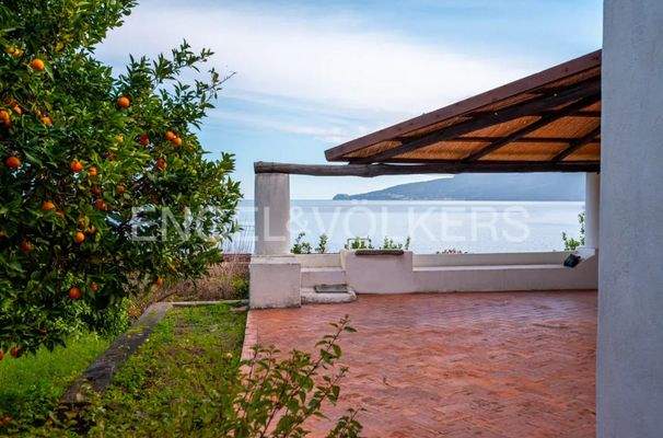 Screenshot 2025-03-31 165636.jpg