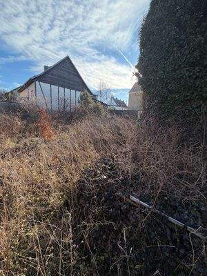 Grundstück ist zugewachsen