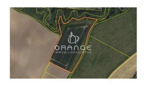 Mötzing / Haimbuch Bauernhöfe, Landwirtschaft, Mötzing / Haimbuch Forstwirtschaft