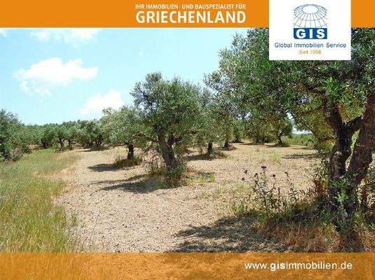 ebenes, gut bebaubares Grundstück