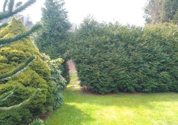 Grundstück Jüchen  (5).jpg