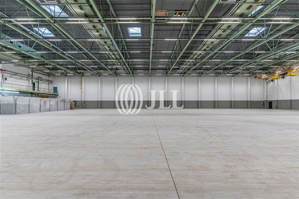 Halle Innenansicht - JLL