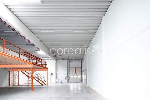 Langenfeld Halle, Langenfeld Hallenfläche