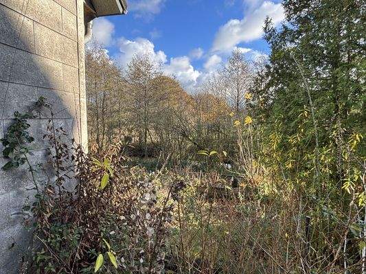 Außenansicht/Garten