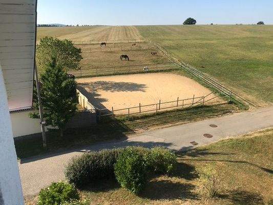 Die Koppel mit Reitplatz