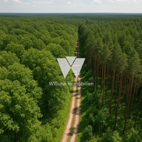 Borna Bauernhöfe, Landwirtschaft, Borna Forstwirtschaft