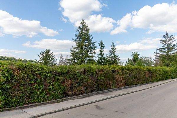 Straßenfront des Grundstückes