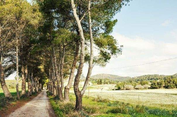 176_03_San Lorenzo_Anwesen_Weg