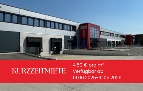 Rodgau Halle, Rodgau Hallenfläche