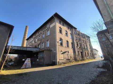 Zittau Halle, Zittau Hallenfläche