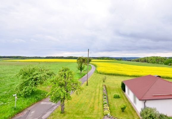 OG-Ausblick-Feld