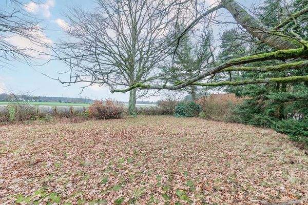 Umbebautes Grundstück