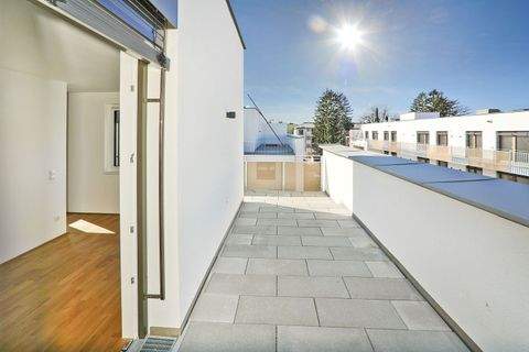 Stockerau Wohnungen, Stockerau Wohnung mieten