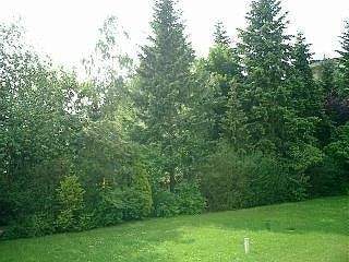 Blick in die Wohnanlage