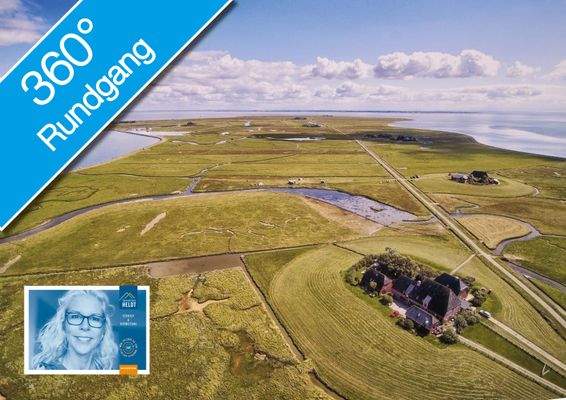 Luftbild Hallig Hooge