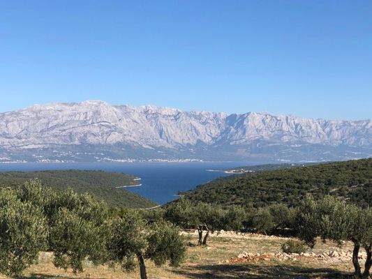 Aussicht vom Grundstück 