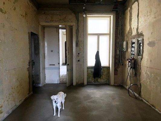 Sanierung  nach Wunsch - Draschepark, Johann Straussgasse, Bahnhof - Wien, Wien