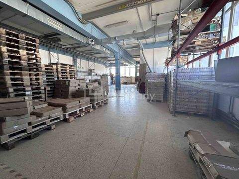 Elixhausen Halle, Elixhausen Hallenfläche