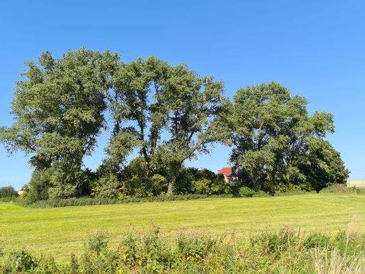 versteckt im Grünen