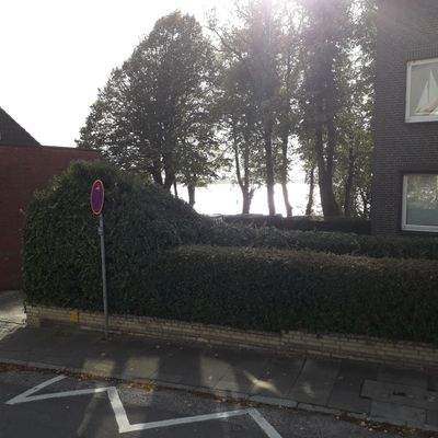 Elbblick bei den Mahlzeiten