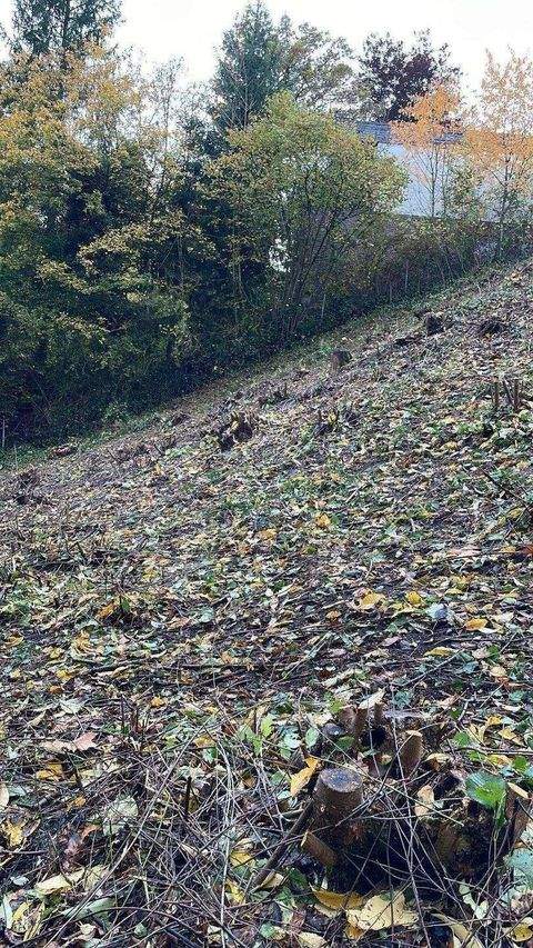 Schwarzenbruck Grundstücke, Schwarzenbruck Grundstück kaufen