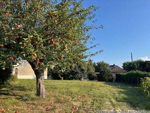 Herzfelde Grundstücke, Herzfelde Grundstück kaufen