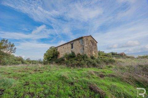 Scansano Häuser, Scansano Haus kaufen