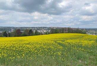 Aussicht von Ihrer Terrasse