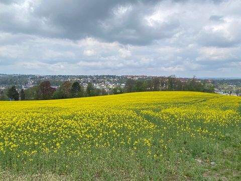 Stollberg/Erzgebirge Häuser, Stollberg/Erzgebirge Haus kaufen