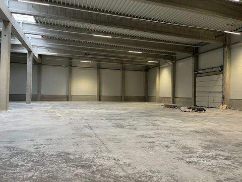 Aalen Halle, Aalen Hallenfläche