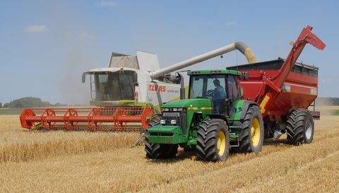 Wiedemar Bauernhöfe, Landwirtschaft, Wiedemar Forstwirtschaft