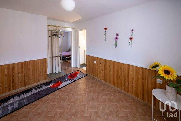 20250426_100710_A78A2817-Bearbeitet