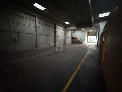 Korneuburg Halle, Korneuburg Hallenfläche