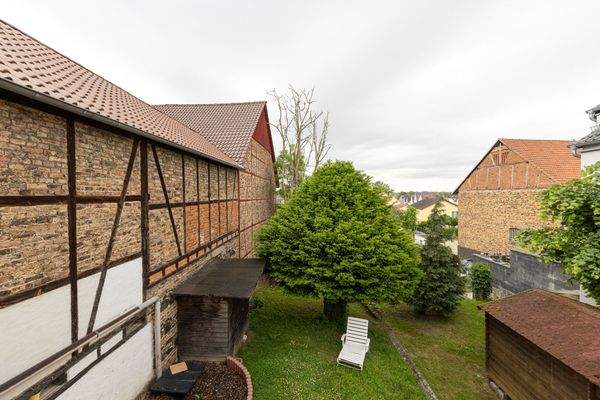 Blick in den Garten - 1