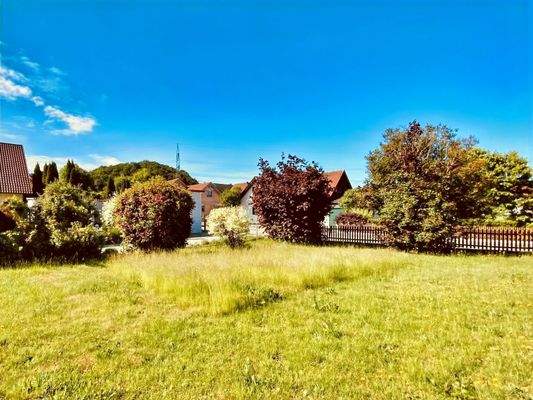 grün eingewachsener Garten