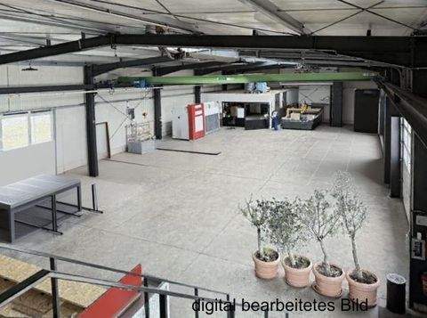 Regenstauf Halle, Regenstauf Hallenfläche