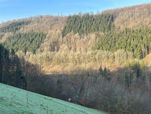 a4b9096d-4989-48a9-949d-54645d705eb1