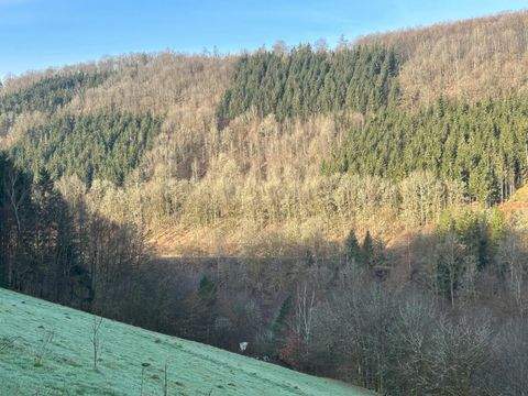 Eberbach Grundstücke, Eberbach Grundstück kaufen