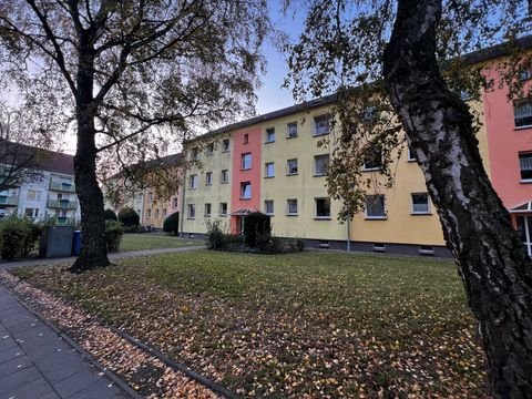 Stralsund Wohnungen, Stralsund Wohnung mieten