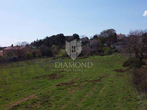 Pjescana Uvala, Vinkuran Bauernhöfe, Landwirtschaft, Pjescana Uvala, Vinkuran Forstwirtschaft