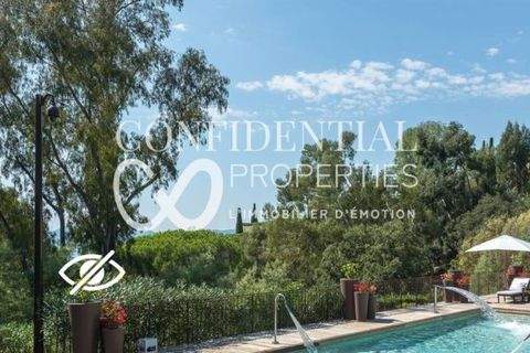 Mougins Häuser, Mougins Haus kaufen