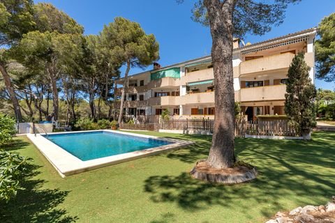 Santa Ponsa Wohnungen, Santa Ponsa Wohnung kaufen