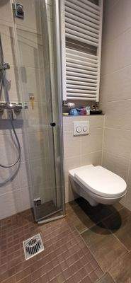 Duschbad/Gäste-WC im EG