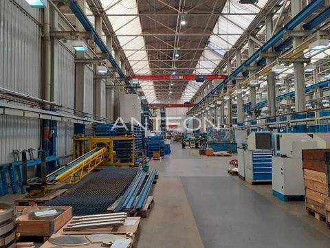 Essen Halle, Essen Hallenfläche