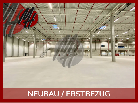Bielefeld Halle, Bielefeld Hallenfläche