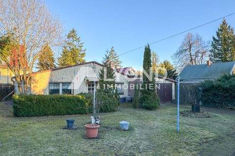 Thale / Friedrichsbrunn Häuser, Thale / Friedrichsbrunn Haus kaufen