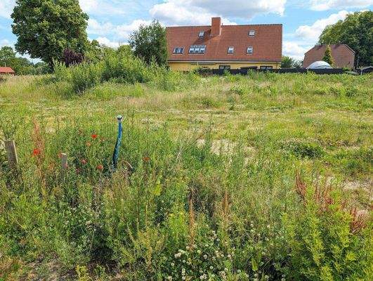 4Grundtück Stralendorf I.jpg